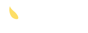 Green Angelica